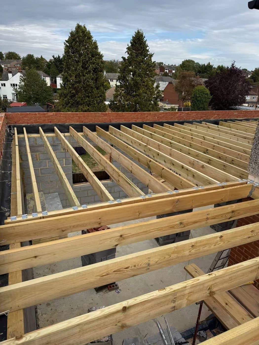 New timber roof joists going onto a rear extension